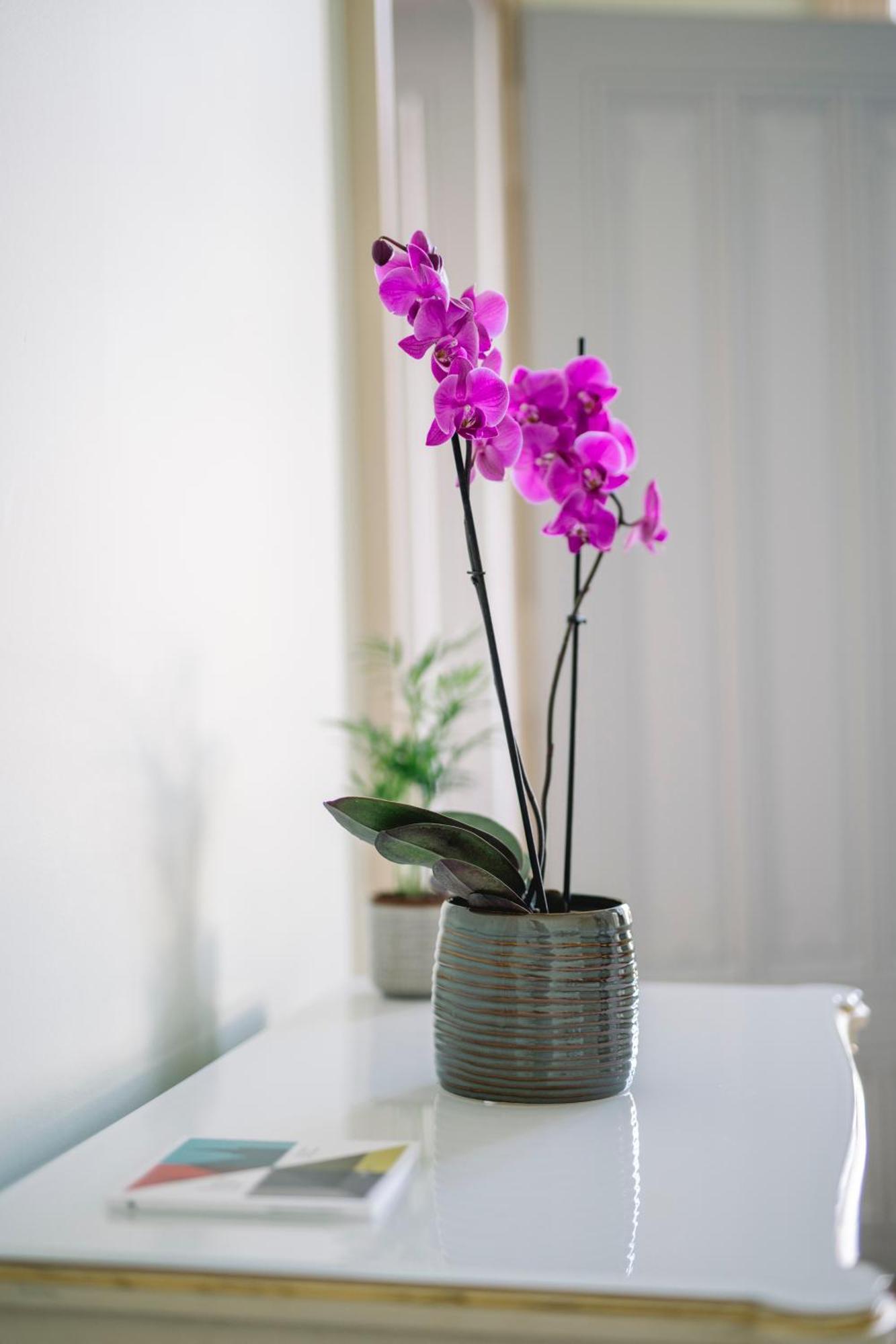 Chateau De L'Aile- Boutique Suites Vevey Extérieur photo